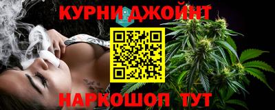 гидра Дубна