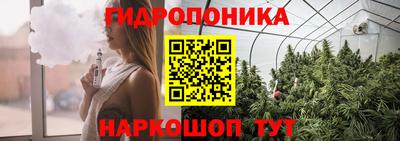 гидра Дубна