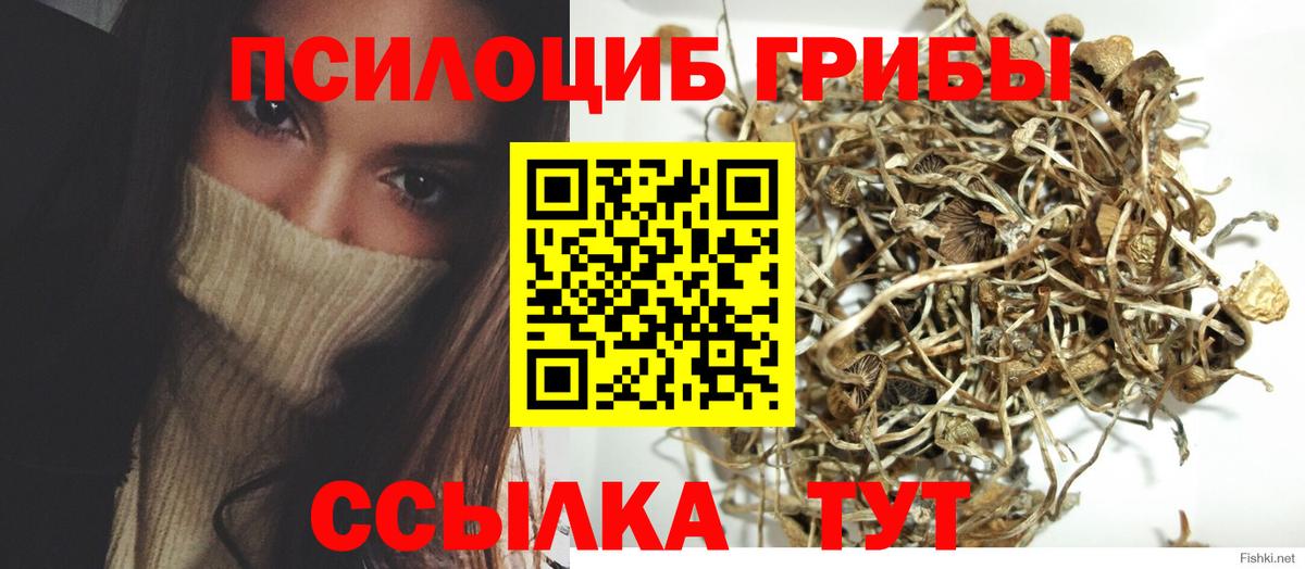 Псилоцибиновые грибы GOLDEN TEACHER Карасук