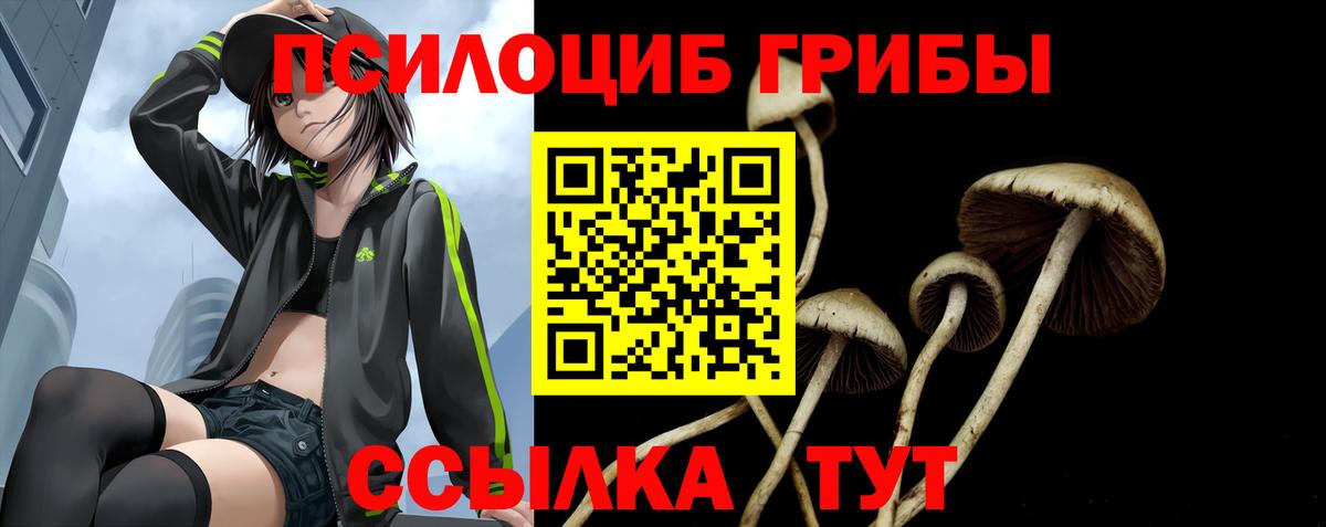 Псилоцибиновые грибы Psilocybine cubensis  купить наркоту  Вход с VPN  Карасук  Галлюциногенные грибы Psilocybe 